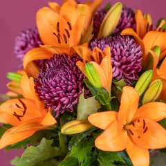 Autumn flowers