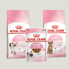 selected Royal Canin kitten food
